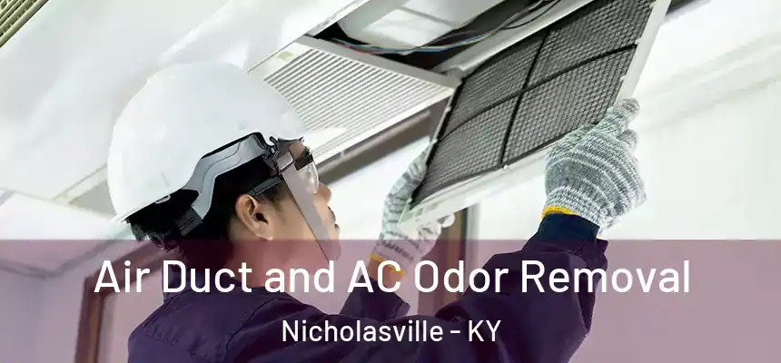 Air Duct and AC Odor Removal Nicholasville - KY