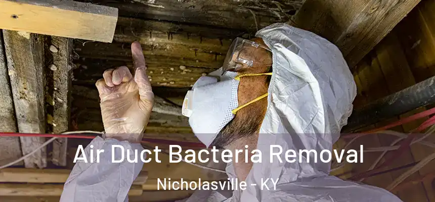  Air Duct Bacteria Removal Nicholasville - KY