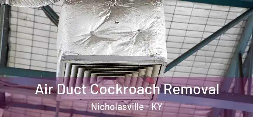  Air Duct Cockroach Removal Nicholasville - KY