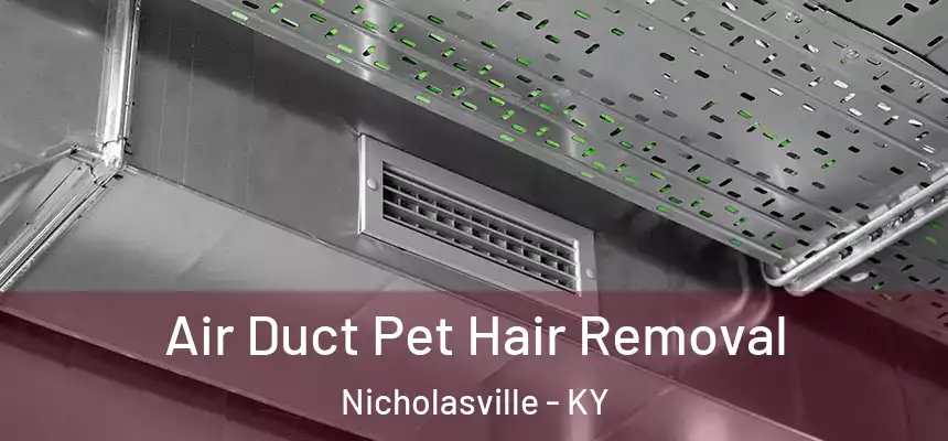 Air Duct Pet Hair Removal Nicholasville - KY