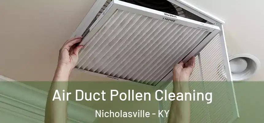  Air Duct Pollen Cleaning Nicholasville - KY