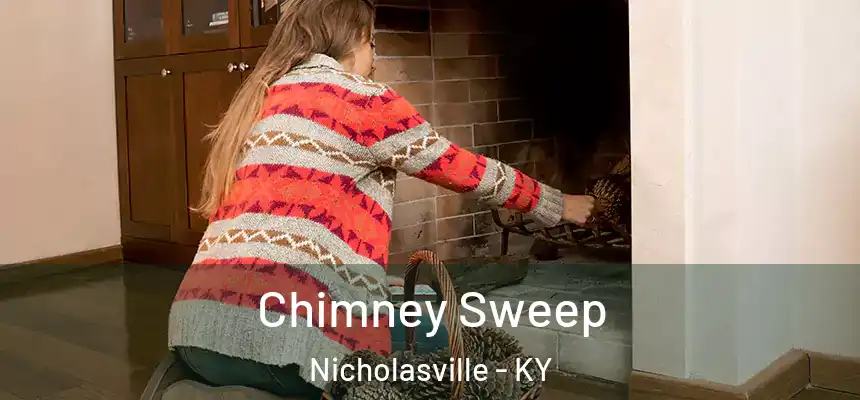Chimney Sweep Nicholasville - KY