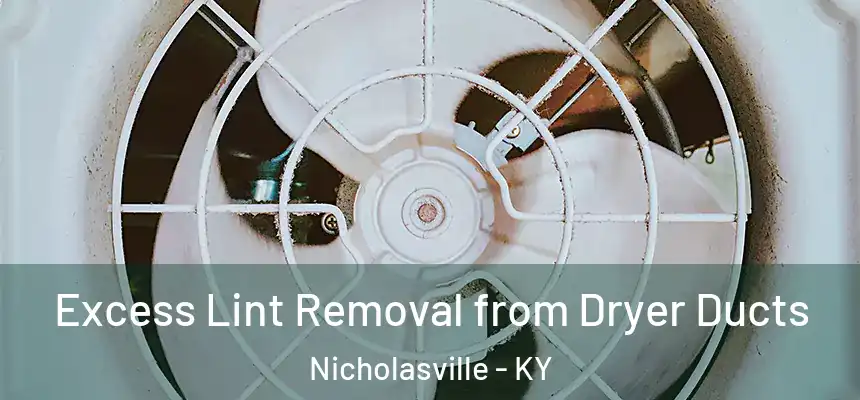 Excess Lint Removal from Dryer Ducts Nicholasville - KY