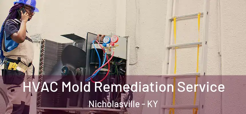 HVAC Mold Remediation Service Nicholasville - KY