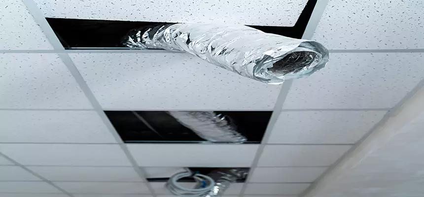 Affordable HVAC Sanitizing After Pest Removal in Nicholasville