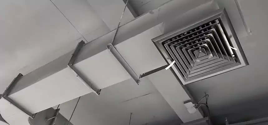 Restorative Allergy Relief Vent Cleaning – Coil, Blower & Housing Detail in Nicholasville