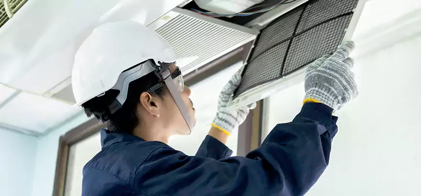 Our Mold & Mildew Removal from Air Ducts Services in Nicholasville, KY