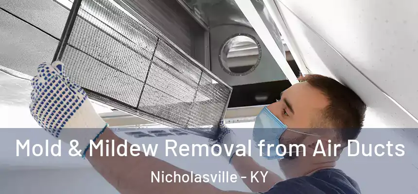 Mold & Mildew Removal from Air Ducts Nicholasville - KY