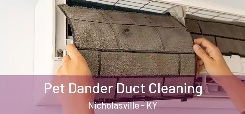  Pet Dander Duct Cleaning Nicholasville - KY