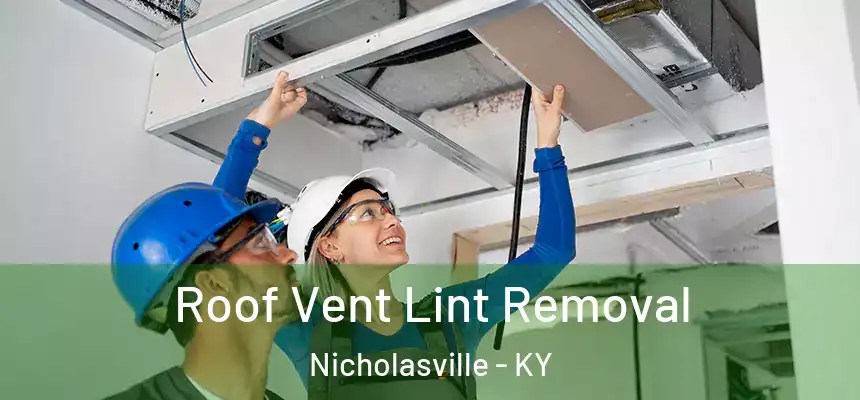 Roof Vent Lint Removal Nicholasville - KY