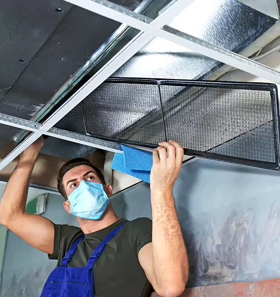 Professional Air Duct Pollen Cleaning in Nicholasville, KY
