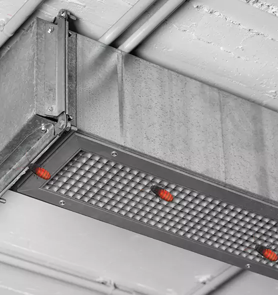 Affordable Insect Removal from Air Ducts in Nicholasville, KY