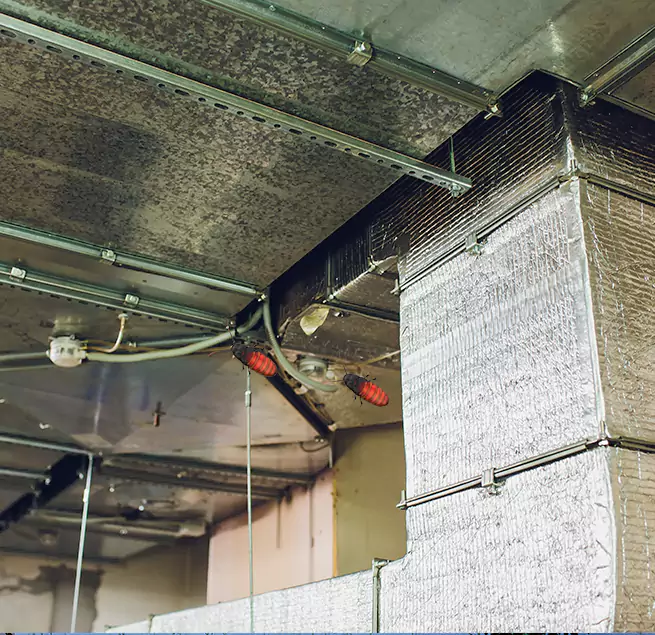 Why Homeowners & Businesses Trust Us in Nicholasville, KY?