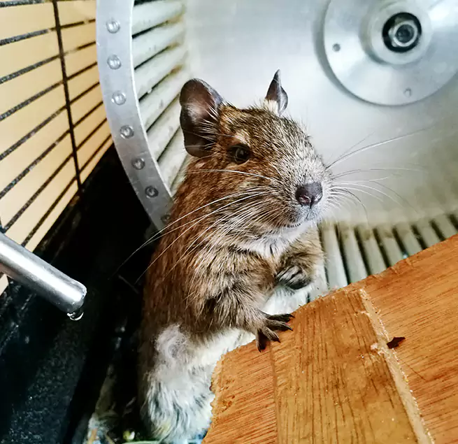 Why Homeowners & Businesses Trust Us Nicholasville, KY