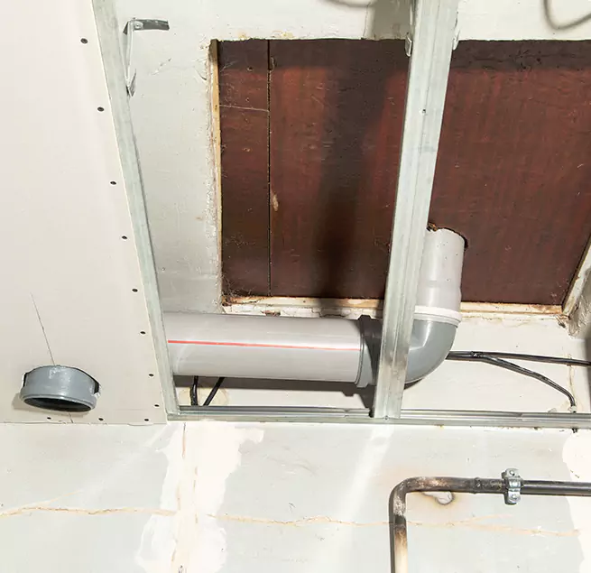 Why Homeowners & Businesses Trust Us in Nicholasville, KY?