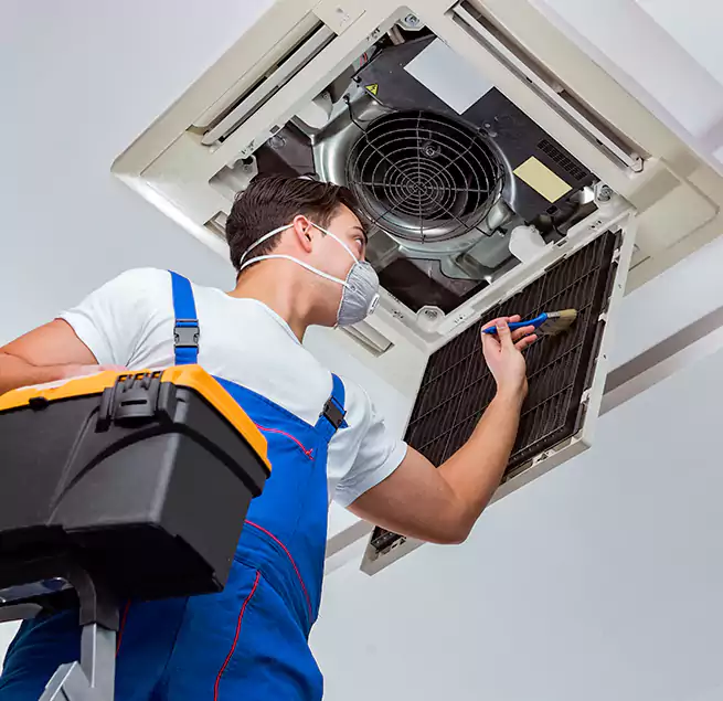 Why Homeowners & Businesses Trust Us in Nicholasville, KY