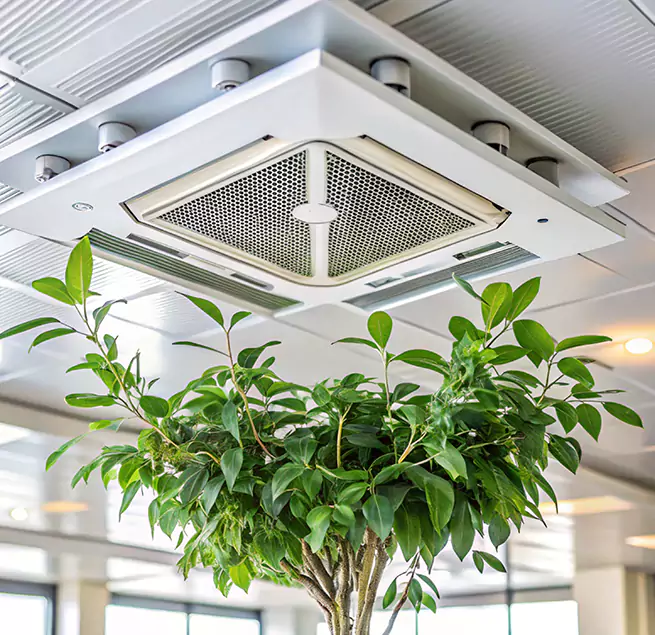 Why Homeowners & Businesses Trust Us in Nicholasville, KY?